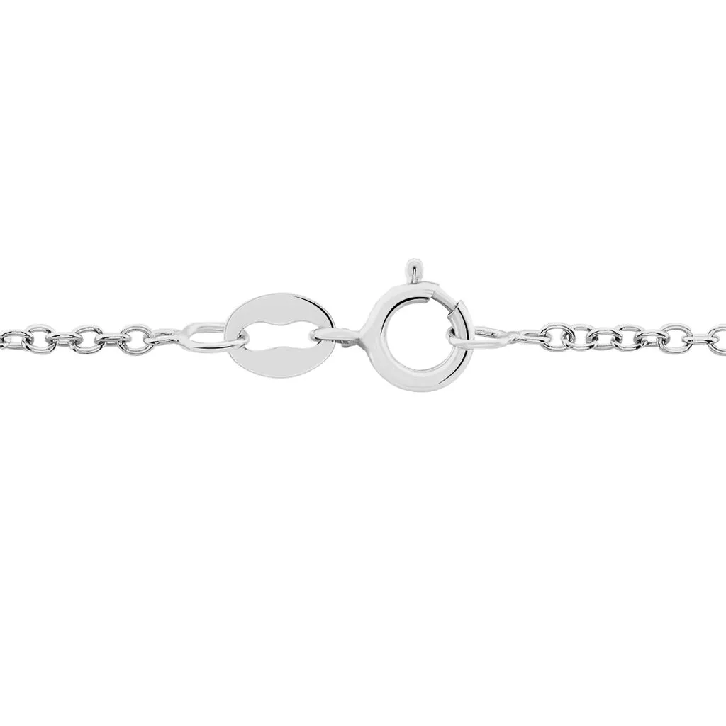 Histoire D'Or Chaîne Ilan Maille Forçat Ronde Or Blanc 5 Histoire D'Or Chaîne Ilan Maille Forçat Ronde Or Blanc – Image 3
