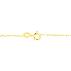 Histoire D'Or Chaine Or Jaune Forçat 9 Histoire D'Or Chaine Or Jaune Forçat -Boucles d'oreilles Bracelet Soldes B7CMJW0412 view2