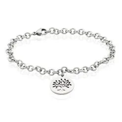 Histoire D'Or Bracelet Acier Blanc Ganet