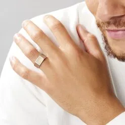 Histoire D'Or Chevalière Acier Blanc Et Plaqué Or Apollo -Boucles d'oreilles Bracelet Soldes FIHHBW0147 model0