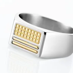 Histoire D'Or Chevalière Acier Blanc Et Plaqué Or Apollo -Boucles d'oreilles Bracelet Soldes FIHHBW0147 view3