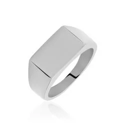 Histoire D'Or Chevalière Acier Gris Luciano