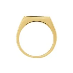 Histoire D'Or Chevalière Acier Doré Luciano -Boucles d'oreilles Bracelet Soldes FIHHJW0043 view2