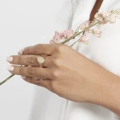 Histoire D'Or Chevalière Gwennen Plaqué Or Oxyde De Zirconium -Boucles d'oreilles Bracelet Soldes FQDFJZW554 model1