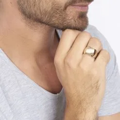 Histoire D'Or Chevalière Zoey Plaqué Or Jaune -Boucles d'oreilles Bracelet Soldes FQHHJW0119 model0