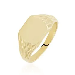 Histoire D'Or Chevalière Leons Plaqué Or