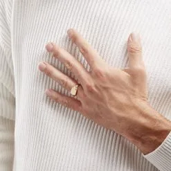 Histoire D'Or Chevalière Leons Plaqué Or -Boucles d'oreilles Bracelet Soldes FQHHJW0141 model0