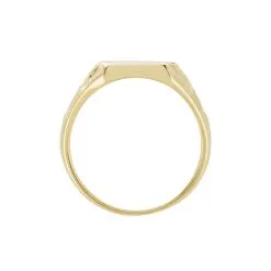 Histoire D'Or Chevalière Leons Plaqué Or -Boucles d'oreilles Bracelet Soldes FQHHJW0141 view2