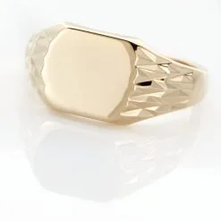 Histoire D'Or Chevalière Leons Plaqué Or -Boucles d'oreilles Bracelet Soldes FQHHJW0141 view3