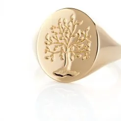 Histoire D'Or Chevalière Gautier Plaqué Or -Boucles d'oreilles Bracelet Soldes FQHHJW0143 view3