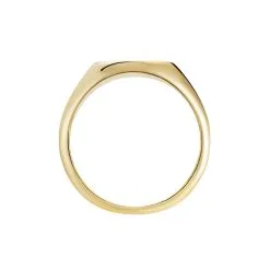 Histoire D'Or Chevalière Plaqué Or Jaune Hadrian 10 Histoire D'Or Chevalière Plaqué Or Jaune Hadrian -Boucles d'oreilles Bracelet Soldes FQHHJW0157 view2