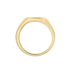 Histoire D'Or Chevalière Hide Plaqué Or Oxyde De Zirconium -Boucles d'oreilles Bracelet Soldes FQHHJZW102 view2