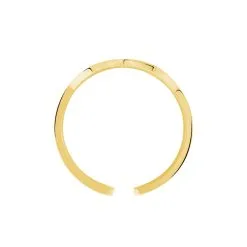 Histoire D'Or Bague Ajustable Adel Acier Doré -Boucles d'oreilles Bracelet Soldes MIDFJW0247 view2